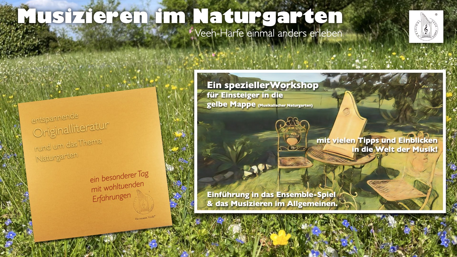 Programm NG WS Mittel